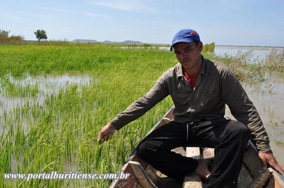 Justiça adia audiência e prolonga espera de produtores de arroz que lutam por indenização há 14 anos