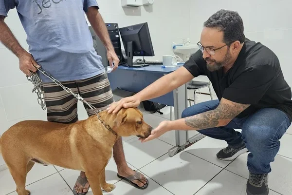 Prefeito anuncia construção da UBS para gatos e cachorros em Parnaíba.